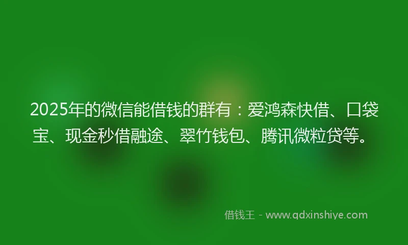 2025年的微信能借钱的群有：爱鸿森快借、口袋宝、现金秒借融途、翠竹钱包、腾讯微粒贷等。