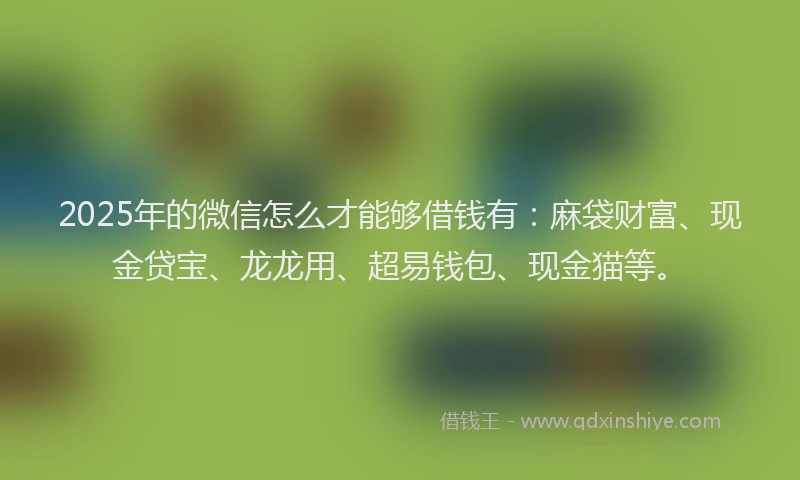 2025年的微信怎么才能够借钱有：麻袋财富、现金贷宝、龙龙用、超易钱包、现金猫等。