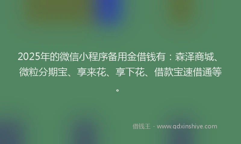 2025年的微信小程序备用金借钱有：森泽商城、微粒分期宝、享来花、享下花、借款宝速借通等。