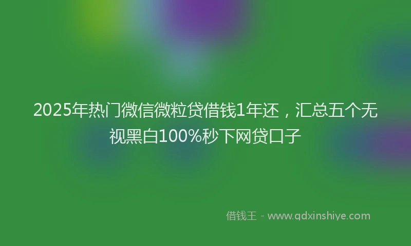 2025年热门微信微粒贷借钱1年还，汇总五个无视黑白100%秒下网贷口子