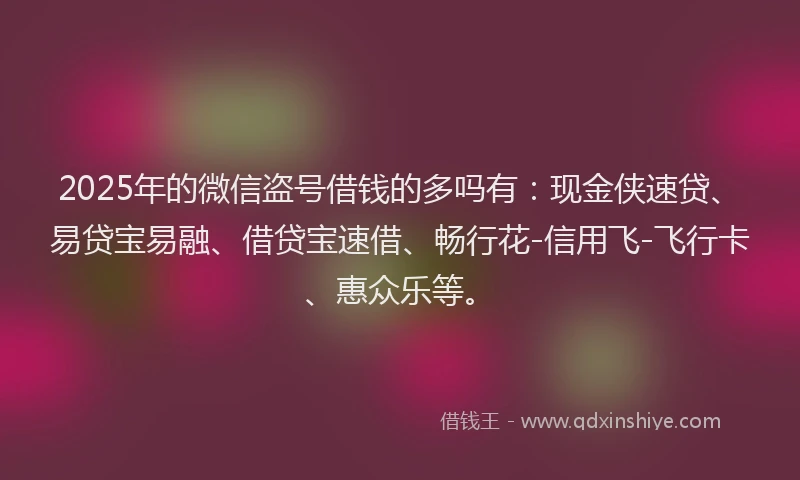 2025年的微信盗号借钱的多吗有：现金侠速贷、易贷宝易融、借贷宝速借、畅行花-信用飞-飞行卡、惠众乐等。
