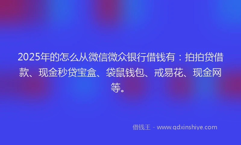 2025年的怎么从微信微众银行借钱有:拍拍贷借款、现金秒贷宝盒、袋鼠钱包、戒易花、现金网等。