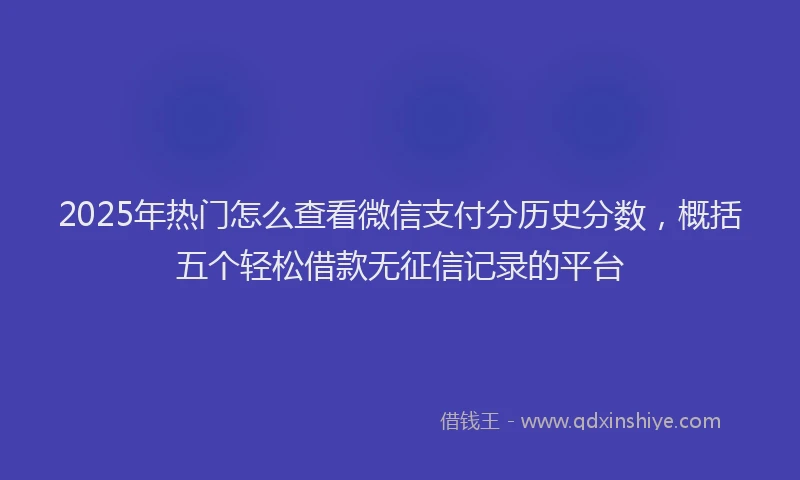 2025年热门怎么查看微信支付分历史分数，概括五个轻松借款无征信记录的平台