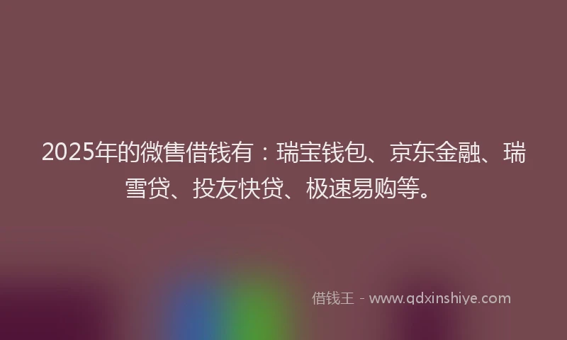 2025年的微售借钱有：瑞宝钱包、京东金融、瑞雪贷、投友快贷、极速易购等。