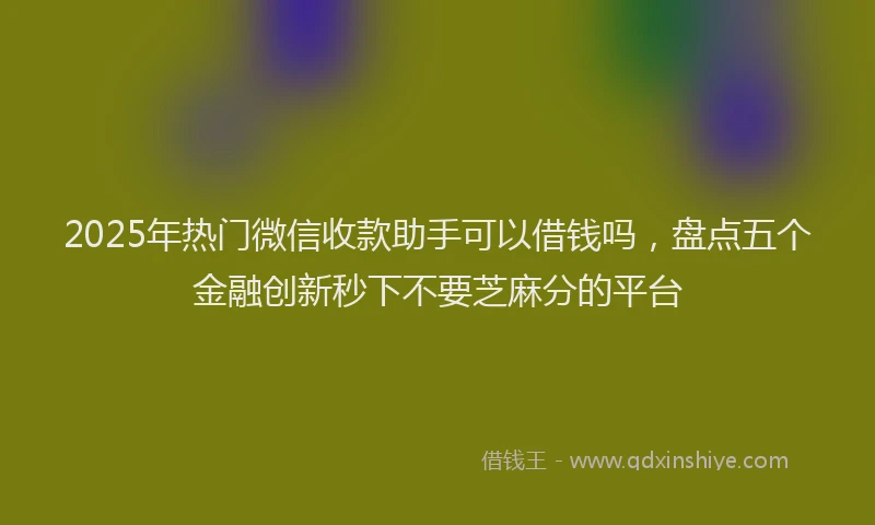 2025年热门微信收款助手可以借钱吗，盘点五个金融创新秒下不要芝麻分的平台
