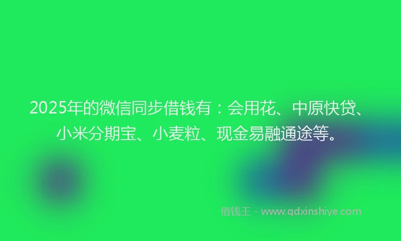 2025年的微信同步借钱有：会用花、中原快贷、小米分期宝、小麦粒、现金易融通途等。