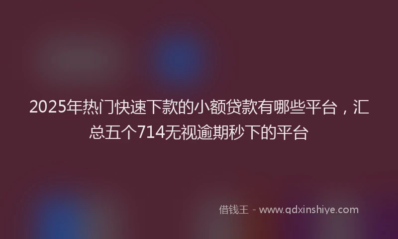 2025年热门快速下款的小额贷款有哪些平台，汇总五个714无视逾期秒下的平台