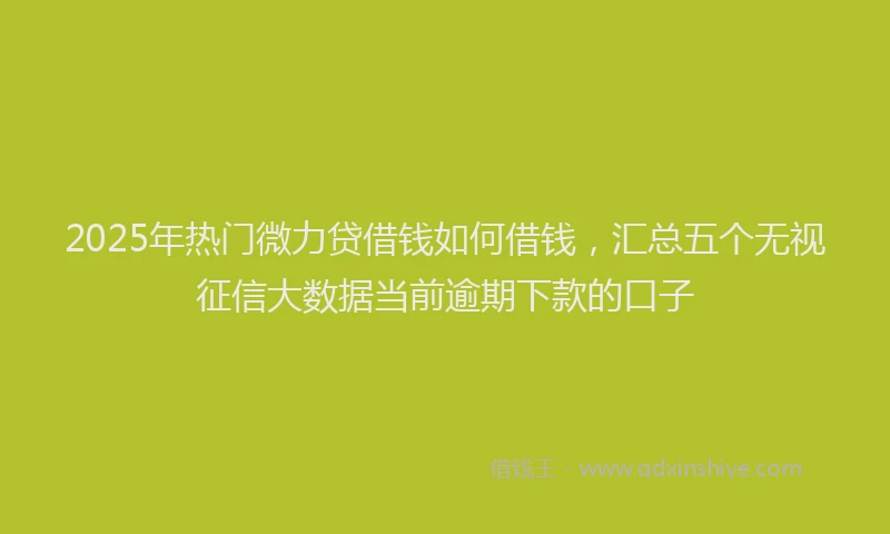2025年热门微力贷借钱如何借钱，汇总五个无视征信大数据当前逾期下款的口子