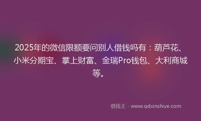2025年的微信限额要问别人借钱吗有：葫芦花、小米分期宝、掌上财富、金瑞Pro钱包、大利商城等。