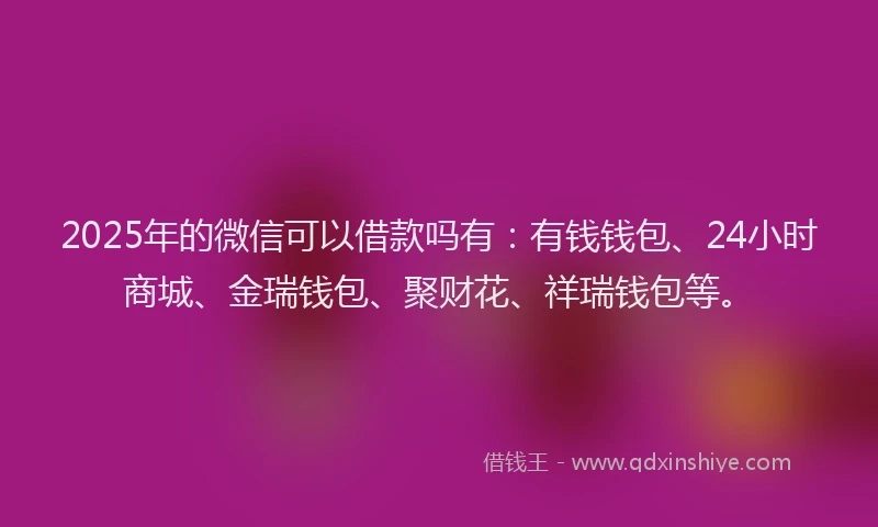 2025年的微信可以借款吗有：有钱钱包、24小时商城、金瑞钱包、聚财花、祥瑞钱包等。