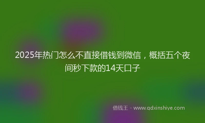 2025年热门怎么不直接借钱到微信,概括五个夜间秒下款的14天口子