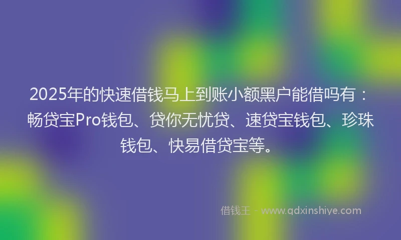 2025年的快速借钱马上到账小额黑户能借吗有：畅贷宝Pro钱包、贷你无忧贷、速贷宝钱包、珍珠钱包、快易借贷宝等。
