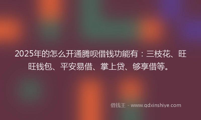 2025年的怎么开通腾呗借钱功能有：三枝花、旺旺钱包、平安易借、掌上贷、够享借等。