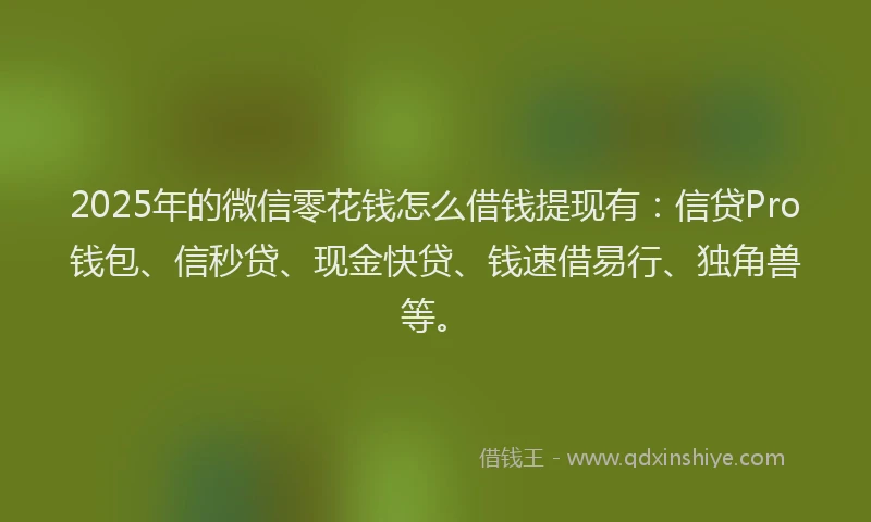 2025年的微信零花钱怎么借钱提现有：信贷Pro钱包、信秒贷、现金快贷、钱速借易行、独角兽等。