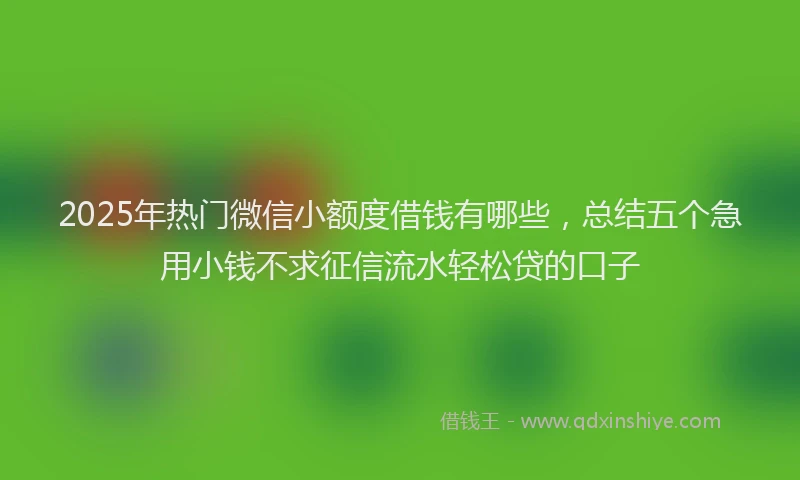 2025年热门微信小额度借钱有哪些，总结五个急用小钱不求征信流水轻松贷的口子