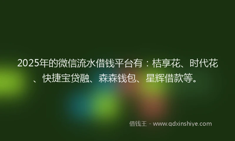 2025年的微信流水借钱平台有：桔享花、时代花、快捷宝贷融、森森钱包、星辉借款等。