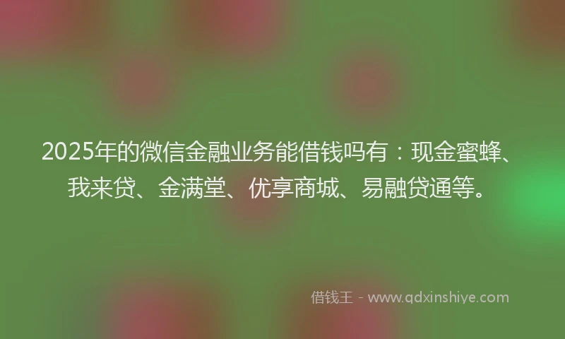 2025年的微信金融业务能借钱吗有：现金蜜蜂、我来贷、金满堂、优享商城、易融贷通等。