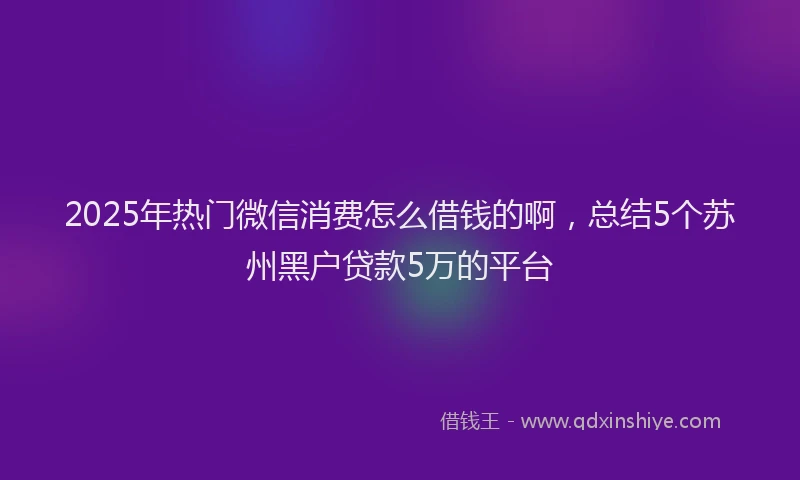 2025年热门微信消费怎么借钱的啊，总结5个苏州黑户贷款5万的平台