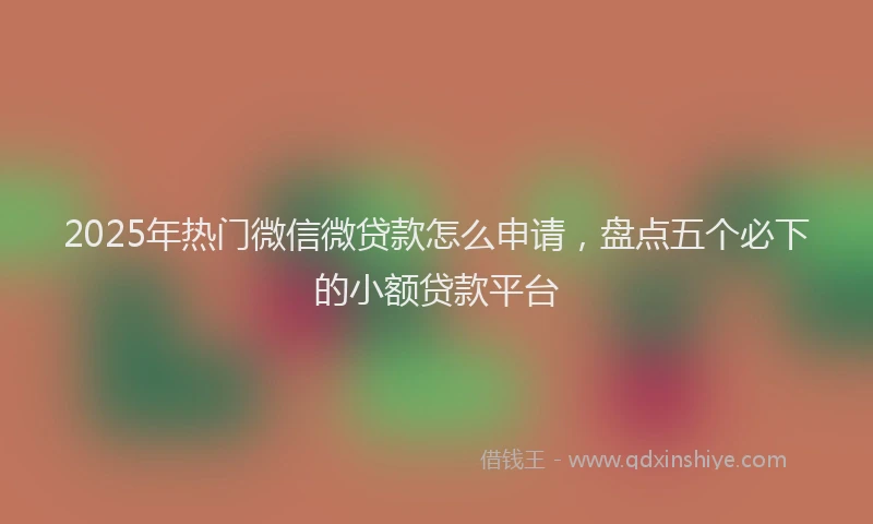 2025年热门微信微贷款怎么申请，盘点五个必下的小额贷款平台