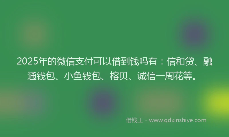 2025年的微信支付可以借到钱吗有:信和贷、融通钱包、小鱼钱包、榕贝、诚信一周花等。