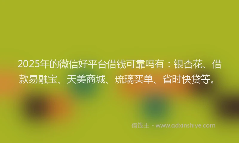 2025年的微信好平台借钱可靠吗有：银杏花、借款易融宝、天美商城、琉璃买单、省时快贷等。