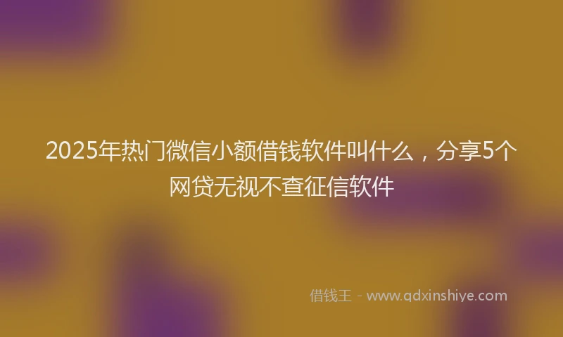 2025年热门微信小额借钱软件叫什么，分享5个网贷无视不查征信软件