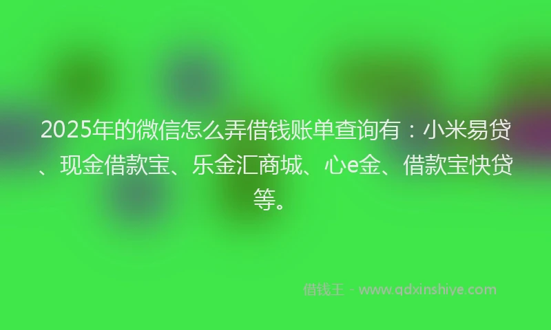 2025年的微信怎么弄借钱账单查询有：小米易贷、现金借款宝、乐金汇商城、心e金、借款宝快贷等。