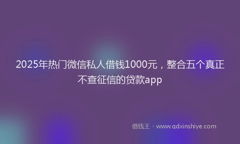 2025年热门微信私人借钱1000元，整合五个真正不查征信的贷款app