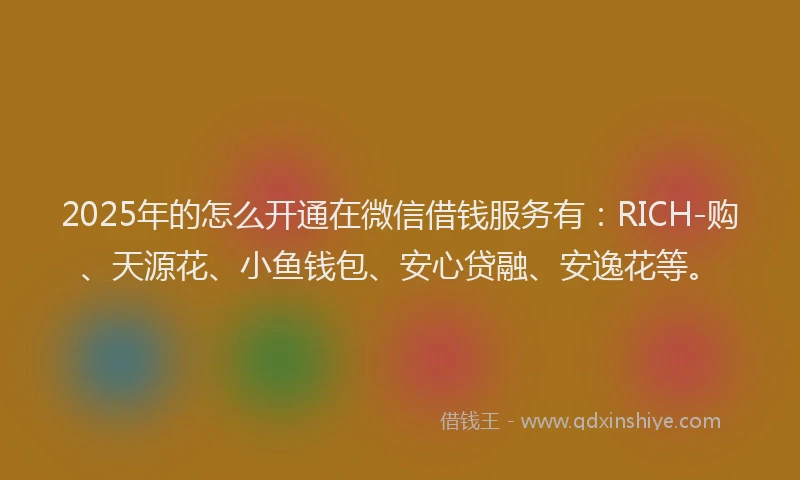 2025年的怎么开通在微信借钱服务有:RICH-购、天源花、小鱼钱包、安心贷融、安逸花等。