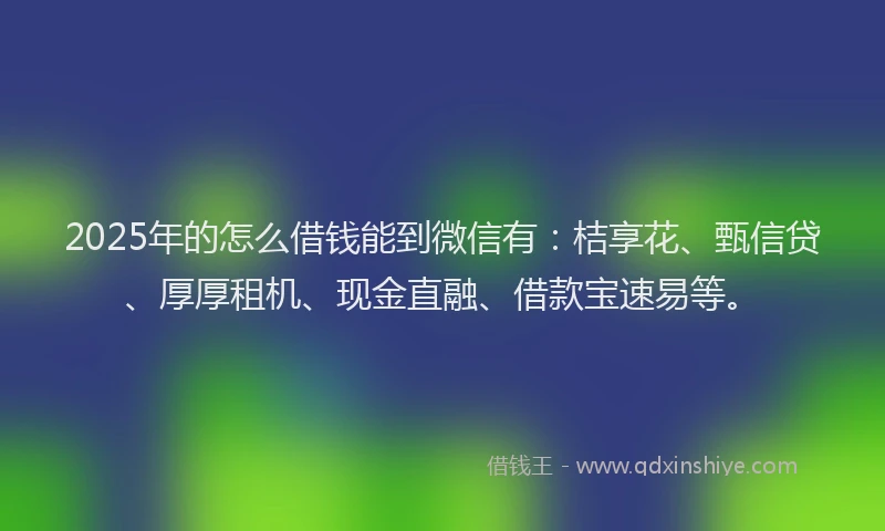2025年的怎么借钱能到微信有：桔享花、甄信贷、厚厚租机、现金直融、借款宝速易等。