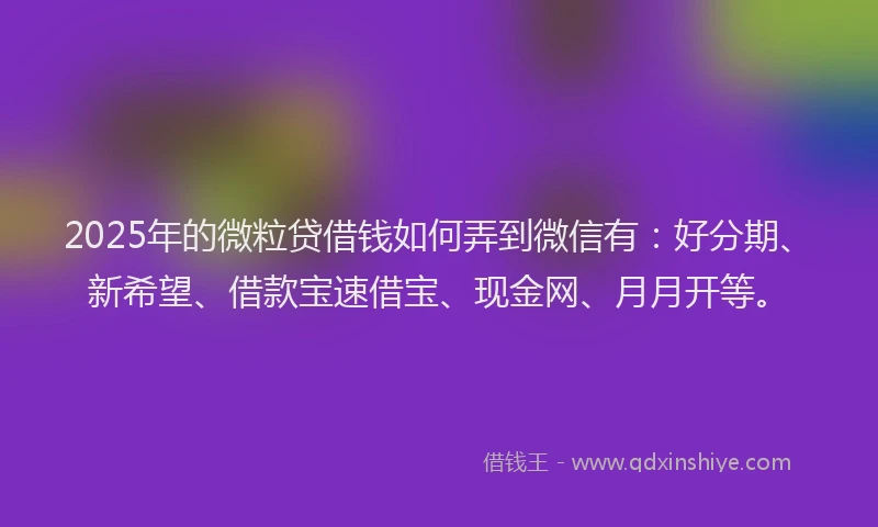 2025年的微粒贷借钱如何弄到微信有：好分期、新希望、借款宝速借宝、现金网、月月开等。