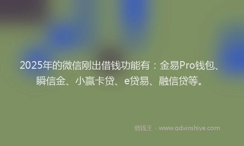 2025年的微信刚出借钱功能有：金易Pro钱包、瞬信金、小赢卡贷、e贷易、融信贷等。