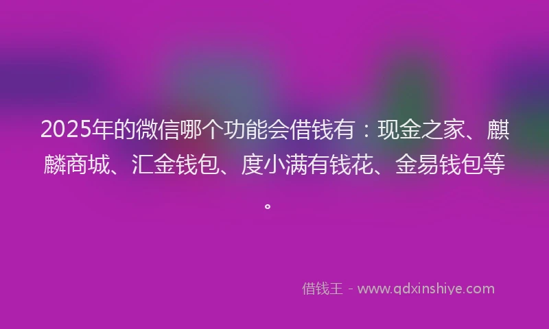2025年的微信哪个功能会借钱有：现金之家、麒麟商城、汇金钱包、度小满有钱花、金易钱包等。