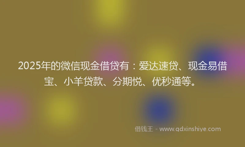 2025年的微信现金借贷有：爱达速贷、现金易借宝、小羊贷款、分期悦、优秒通等。