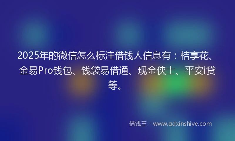 2025年的微信怎么标注借钱人信息有：桔享花、金易Pro钱包、钱袋易借通、现金侠士、平安i贷等。