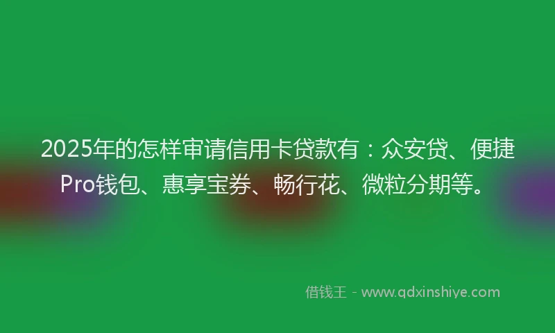 2025年的怎样审请信用卡贷款有：众安贷、便捷Pro钱包、惠享宝券、畅行花、微粒分期等。