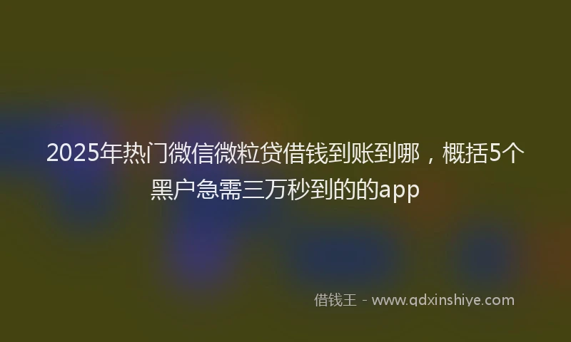 2025年热门微信微粒贷借钱到账到哪，概括5个黑户急需三万秒到的的app