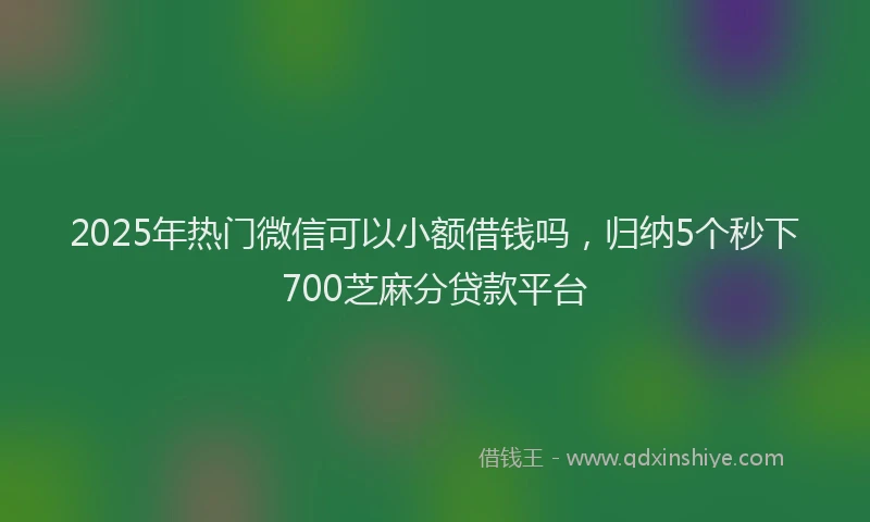 2025年热门微信可以小额借钱吗，归纳5个秒下700芝麻分贷款平台