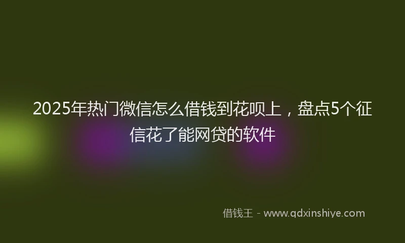 2025年热门微信怎么借钱到花呗上，盘点5个征信花了能网贷的软件