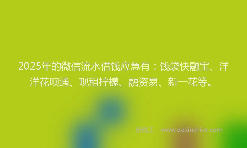 2025年的微信流水借钱应急有：钱袋快融宝、洋洋花呗通、现租柠檬、融资易、新一花等。