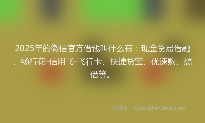 2025年的微信官方借钱叫什么有：现金贷易借融、畅行花-信用飞-飞行卡、快捷贷宝、优速购、想借等。
