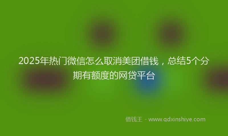 2025年热门微信怎么取消美团借钱，总结5个分期有额度的网贷平台