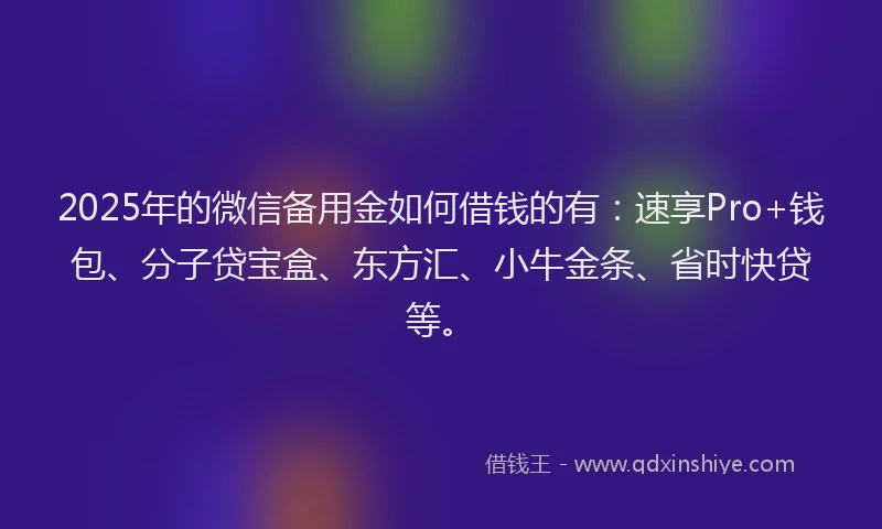 2025年的微信备用金如何借钱的有：速享Pro+钱包、分子贷宝盒、东方汇、小牛金条、省时快贷等。
