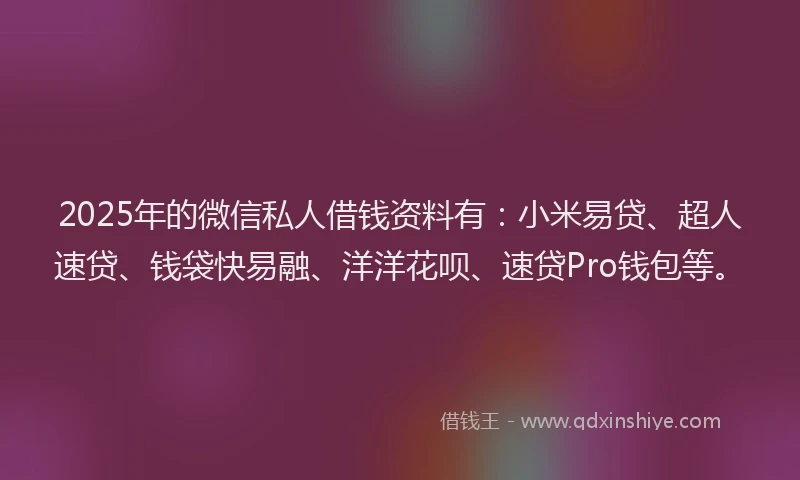 2025年的微信私人借钱资料有：小米易贷、超人速贷、钱袋快易融、洋洋花呗、速贷Pro钱包等。