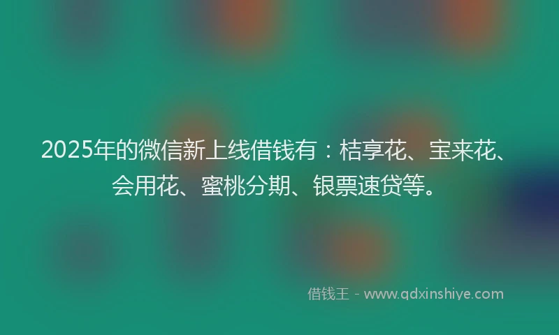 2025年的微信新上线借钱有：桔享花、宝来花、会用花、蜜桃分期、银票速贷等。