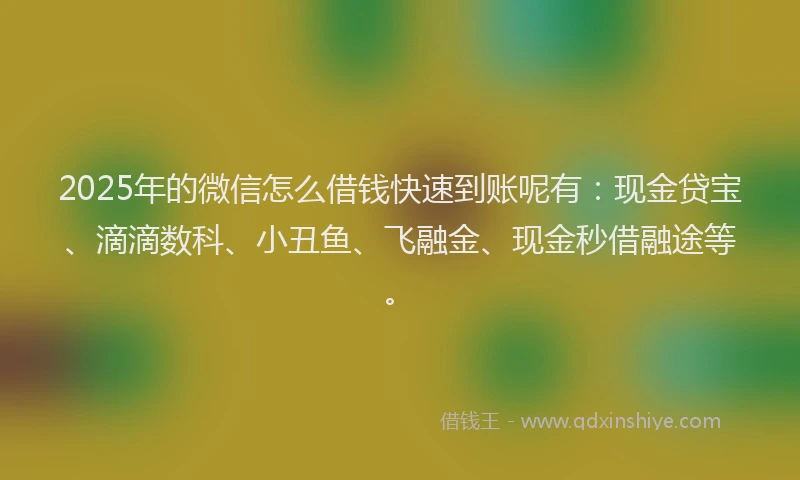 2025年的微信怎么借钱快速到账呢有：现金贷宝、滴滴数科、小丑鱼、飞融金、现金秒借融途等。
