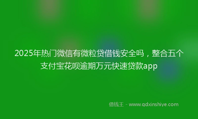 2025年热门微信有微粒贷借钱安全吗，整合五个支付宝花呗逾期万元快速贷款app