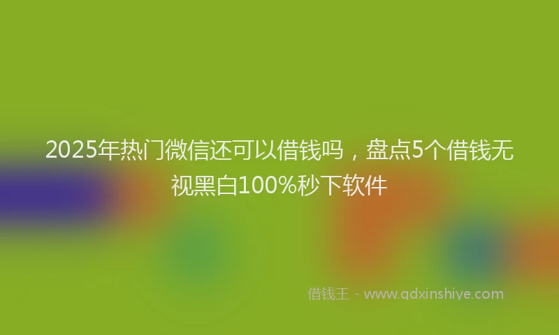 2025年热门微信还可以借钱吗,盘点5个借钱无视黑白100%秒下软件