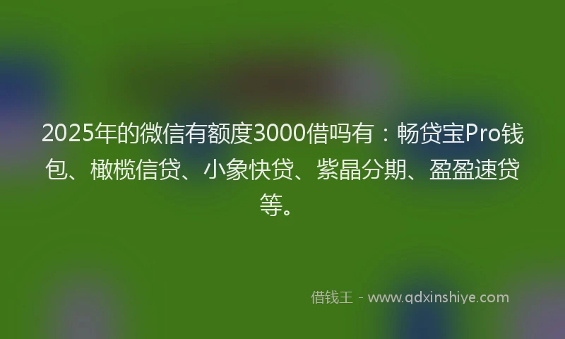 2025年的微信有额度3000借吗有：畅贷宝Pro钱包、橄榄信贷、小象快贷、紫晶分期、盈盈速贷等。