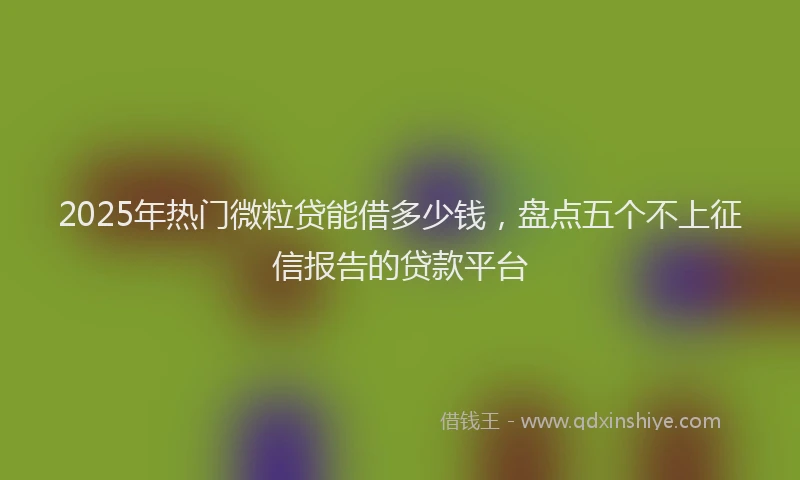 2025年热门微粒贷能借多少钱，盘点五个不上征信报告的贷款平台